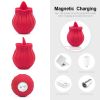 Wand Massager - Rechargeable USB/Waterproof with Multi-Function, Medical Silicone