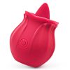 Wand Massager - Rechargeable USB/Waterproof with Multi-Function, Medical Silicone